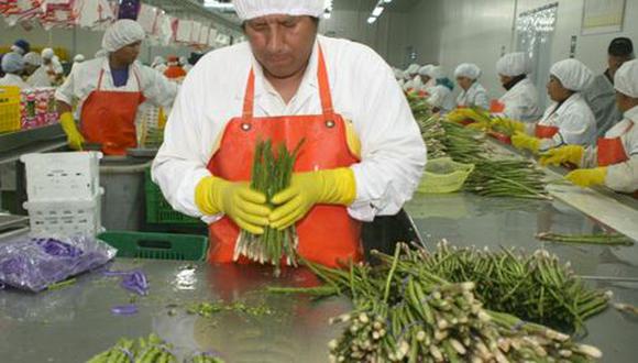 Sector agroexportador creció 20%  en el 2014