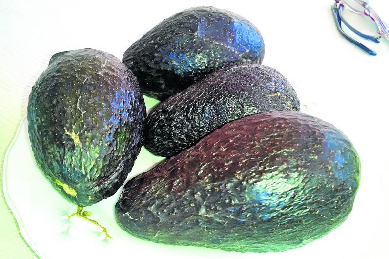 Huanta, primera en exportar palta al mundo 