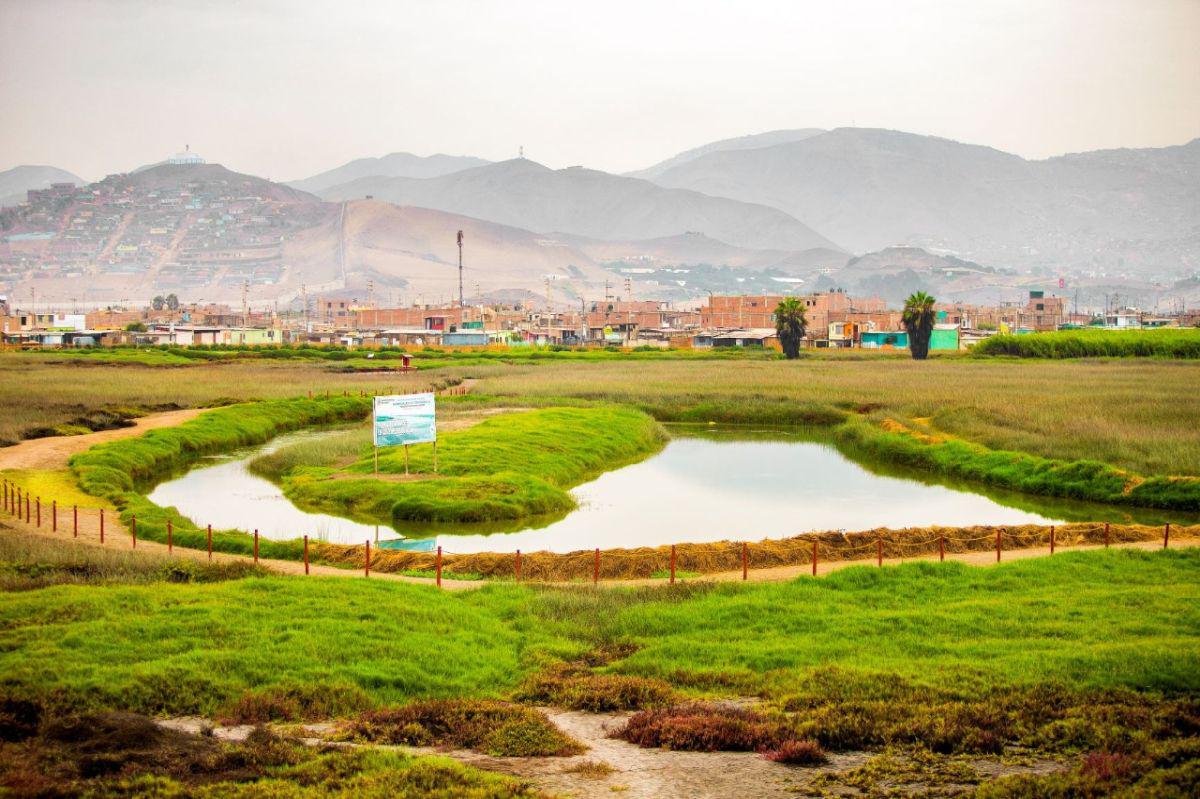 Gobierno Regional del Callao invertirá cerca de 8 millones de soles para desarrollar un proyecto turístico en los Humedales de Ventanilla. (Difusión)