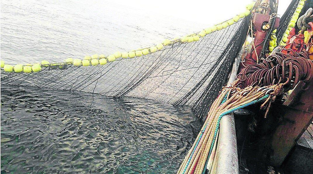 Chimbote: Recomiendan que temporada de pesca no se prolongue por más tiempo
