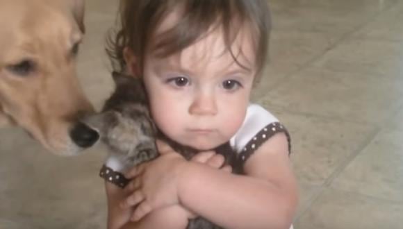 YouTube: Niña quiere que su gatito sea su bebé (VIDEO)
