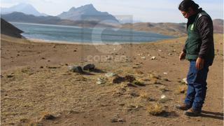 Lima podría pasar sed en verano debido a sequia que afecta lagunas en Junín (FOTOS)