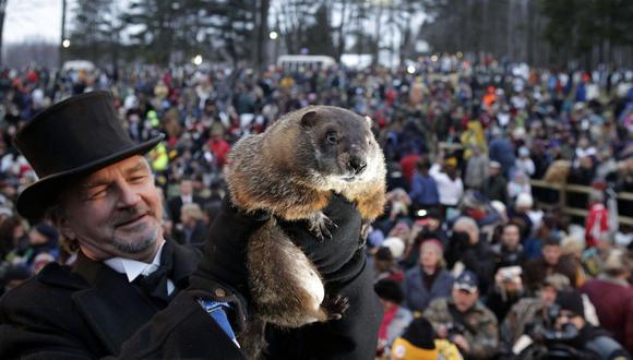 El Día de la marmota es una festividad especial que se realiza en Estados Unidos. (Foto: AP)