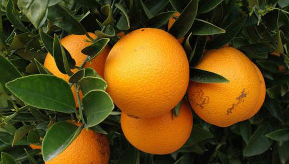 Adolescente quiere acabar la sequía mundial con la naranja