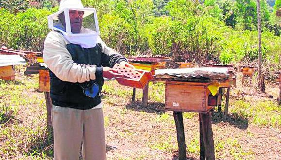 95% de la miel que se produce en Junín  se va hacia Lima 