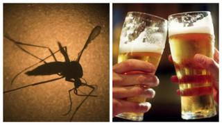 Mosquitos prefieren picar a quienes toman cerveza 