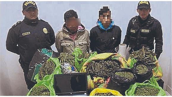Detectan 3 rutas para transportar marihuana tipo “creepy” en Piura 