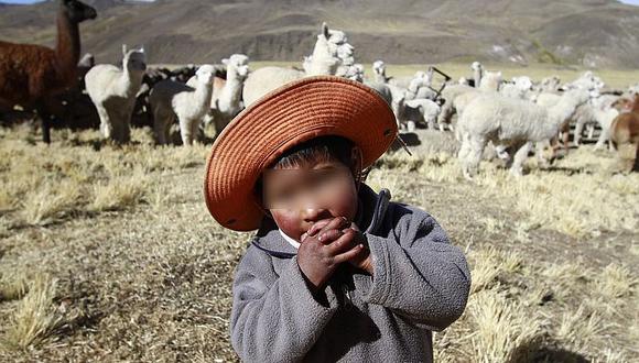 Heladas afectan más a pobladores que residen en las zonas altas de la región Arequipa