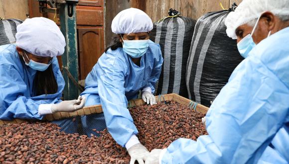 Proyectos buscan fortalecer producción de café y cacao
