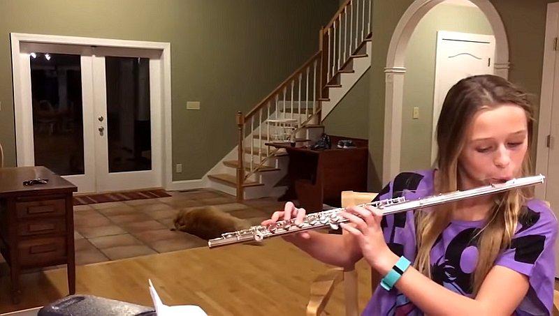 ​YoTube: Simpática reacción de un perro al escuchar el sonido de una flauta