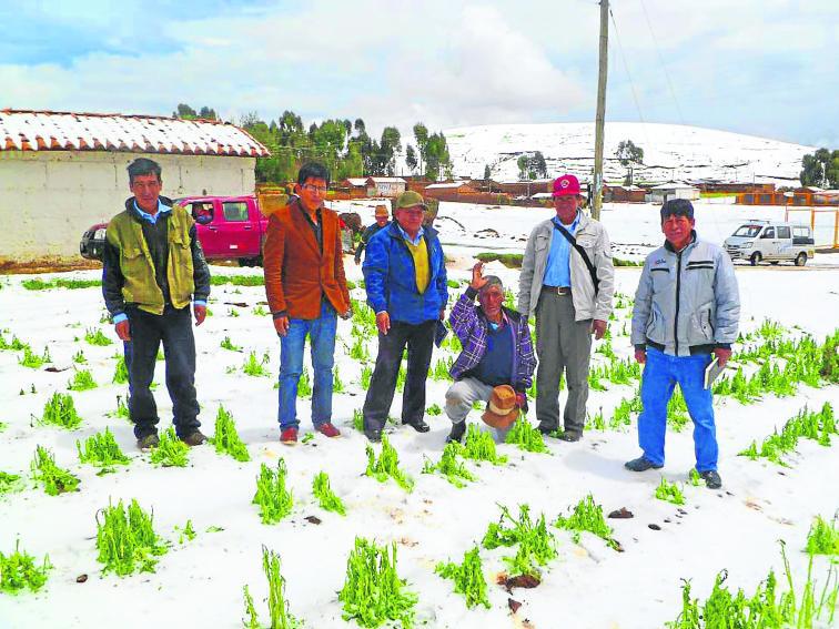 Fenómeno del Niño podría afectar seriamente a la agricultura