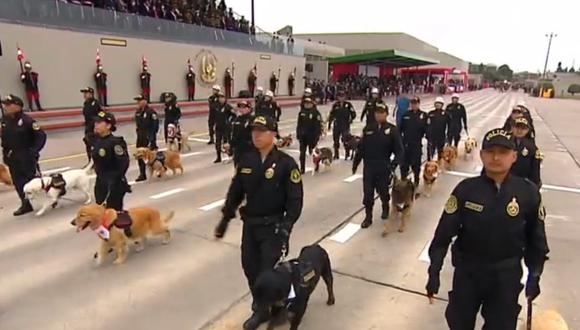 Canes de la Unidad Canina de la Policía Nacional marcharon durante el desfile militar por Fiestas Patrias. (Captura: América Noticias)
