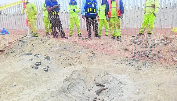 Trabajadores hallan restos humanos en el distrito de Paracas