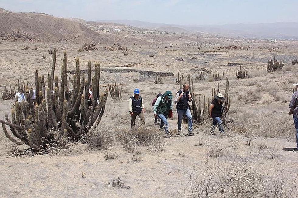 Creación de parque Las Rocas de Chilina en riesgo por invasores (FOTOS)