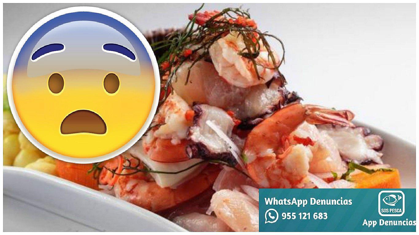 ¿Te gustan los mariscos? ¡Cuidado! Este es el animal que debes evitar este verano