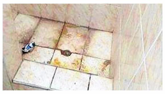 Sullana: Denuncian baños deplorables en colegio