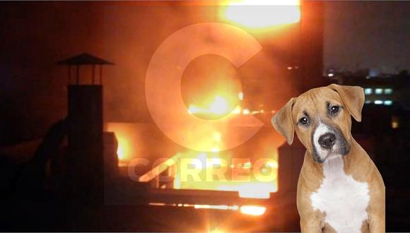 Vecinos reportaron a mascotas atrapadas en incendio de edificio del jirón Caylloma  
