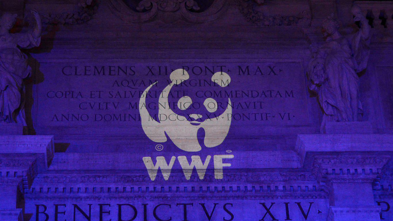 WWF pide crear una gran reserva marina en la Antártida