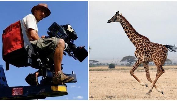 Director de cine muere a causa del cabezazo de una jirafa durante rodaje