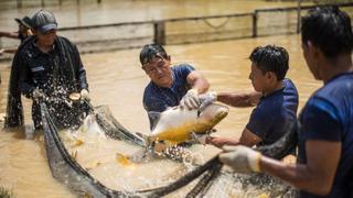 Produce destina cerca de S/ 3 millones para cofinanciar proyectos de innovación en pesca y mype 