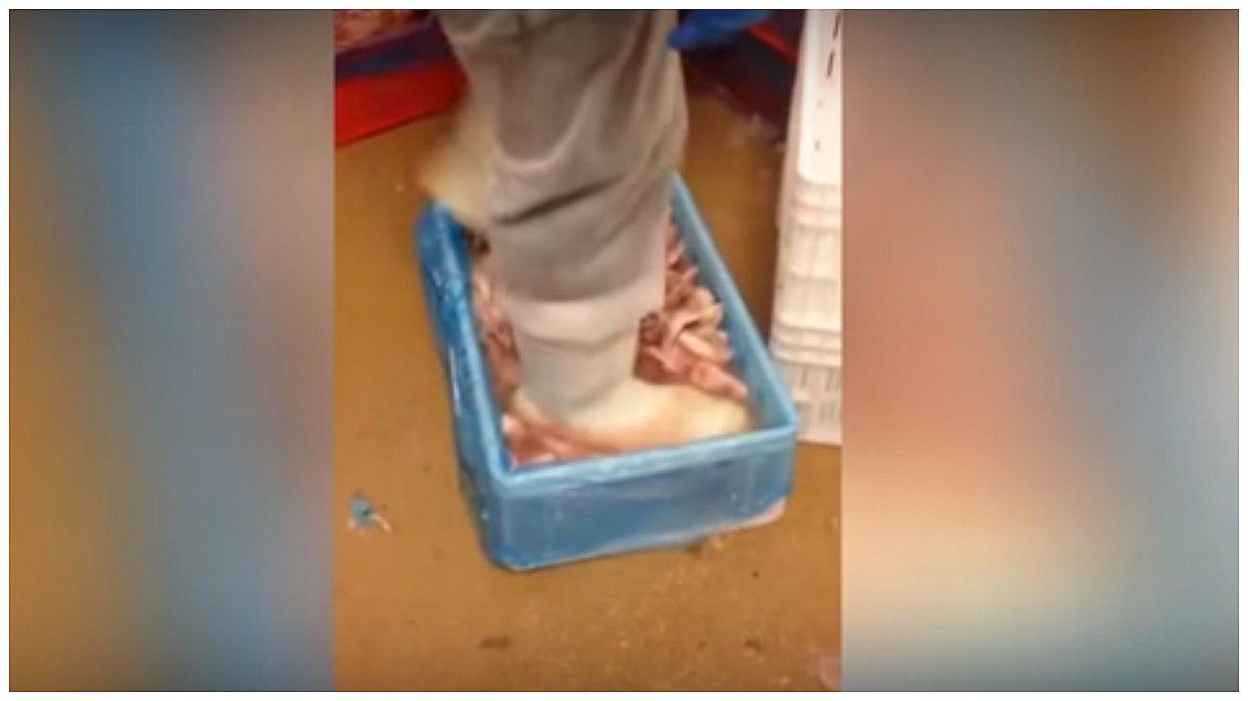 YouTube: Se indignaron cuando vieron cómo descongelaban pollo en restaurante