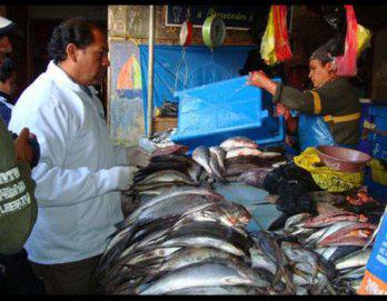 Incautan jurel malogrado en el varadero de Ilo