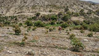 Déficit de agua perjudica a agricultores de Áncash