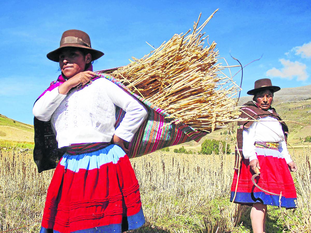 El Segundo Idioma Mas Hablado En El Peru Es El Quechua Peru Correo
