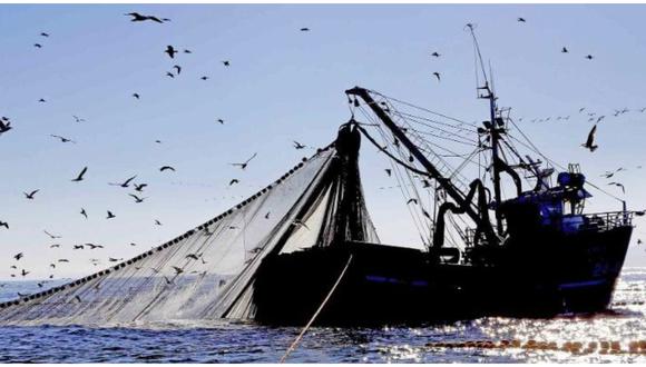 Pesca industrial reinicia sus actividades este martes 13 de mayo.