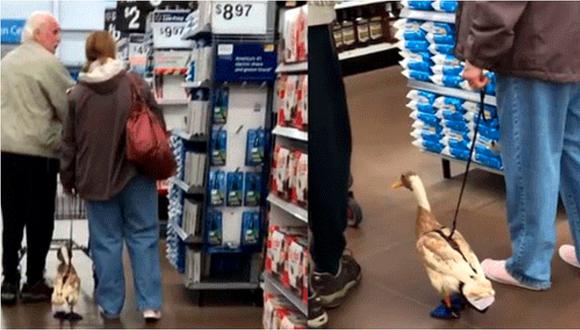 Pareja es captada paseando a un pato en pleno supermercado de Estados Unidos (VIDEO)