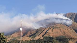 Incendio forestal afecta cultivos agrícolas, plantaciones de árboles y sistemas de riego en Cusco