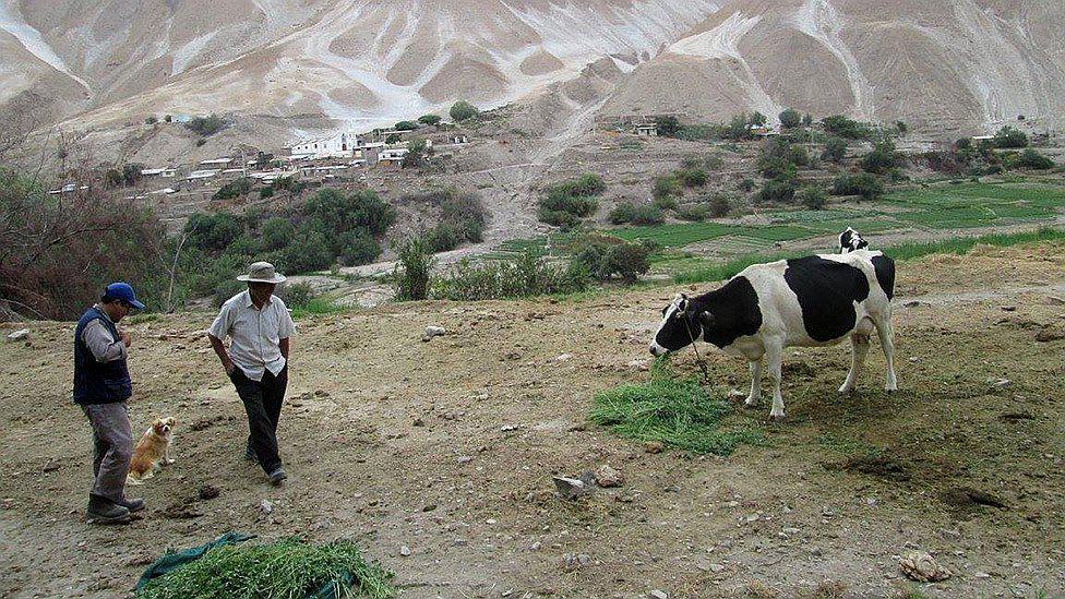 Sequía en el sur: Moquegua pierde 21 millones de soles por falta de agua