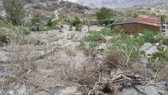 Ríos arrasaron cultivos en el distrito Coalaque
