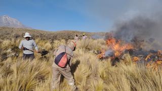 Arequipa tuvo 41 incendios forestales en el 2022