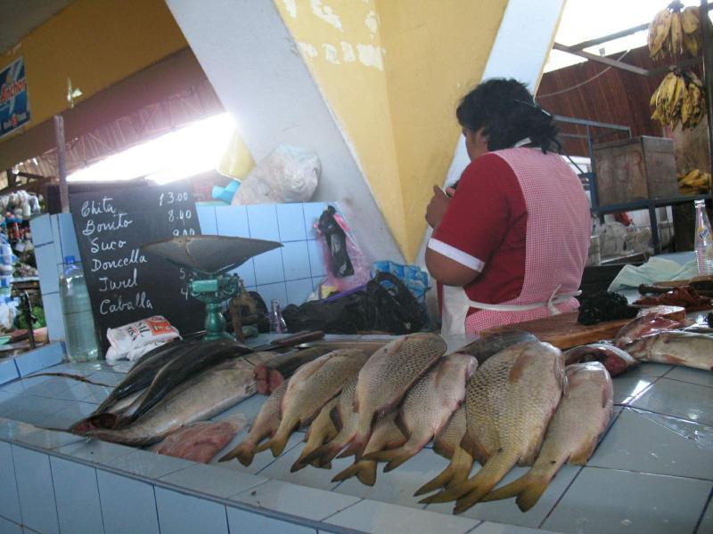 Trujillo: Niveles de consumo de pescado aún no se normalizan