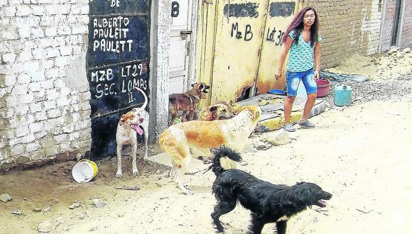 Vecinos desalojan a canes de albergue en Las Lomas de Huanchaco