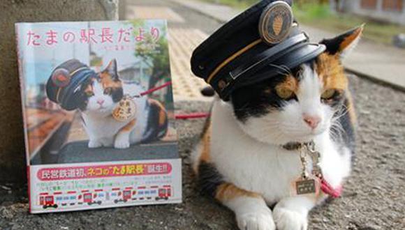 Muere "Tama", la famosa gata que fue nombrada jefa de una estación de tren