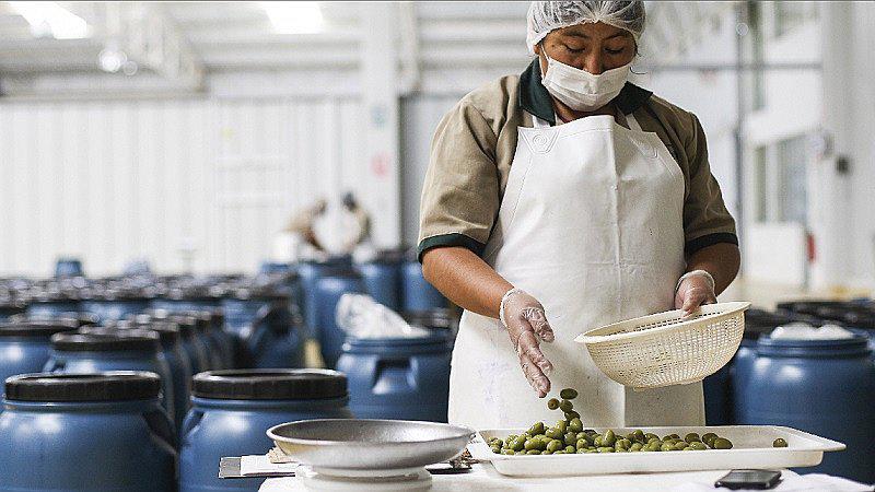 ​INEI: Población con empleo adecuado creció 1.2%