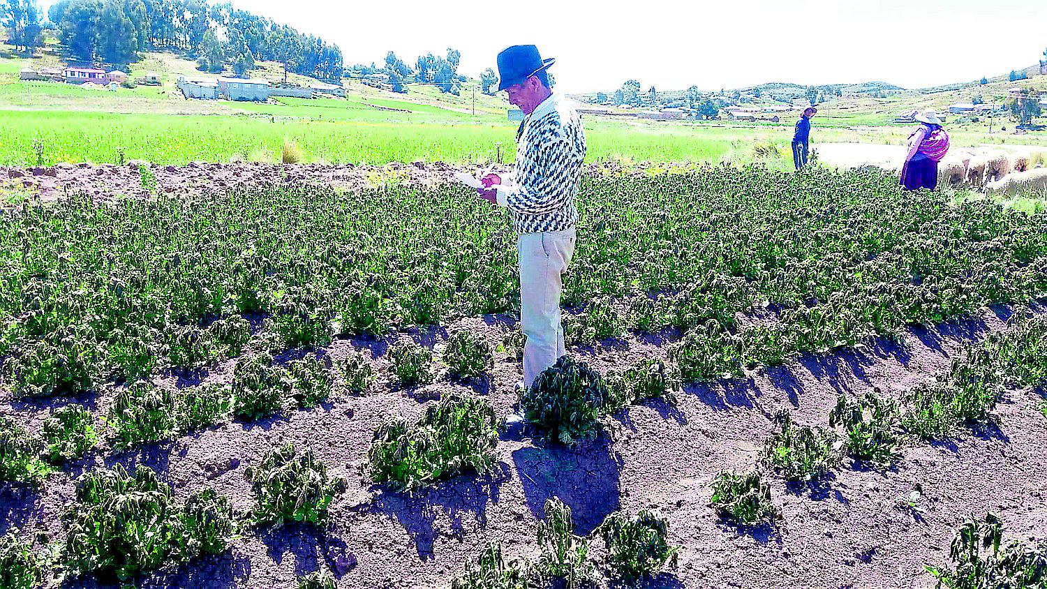 Madre naturaleza castiga a pobladores de la región Puno