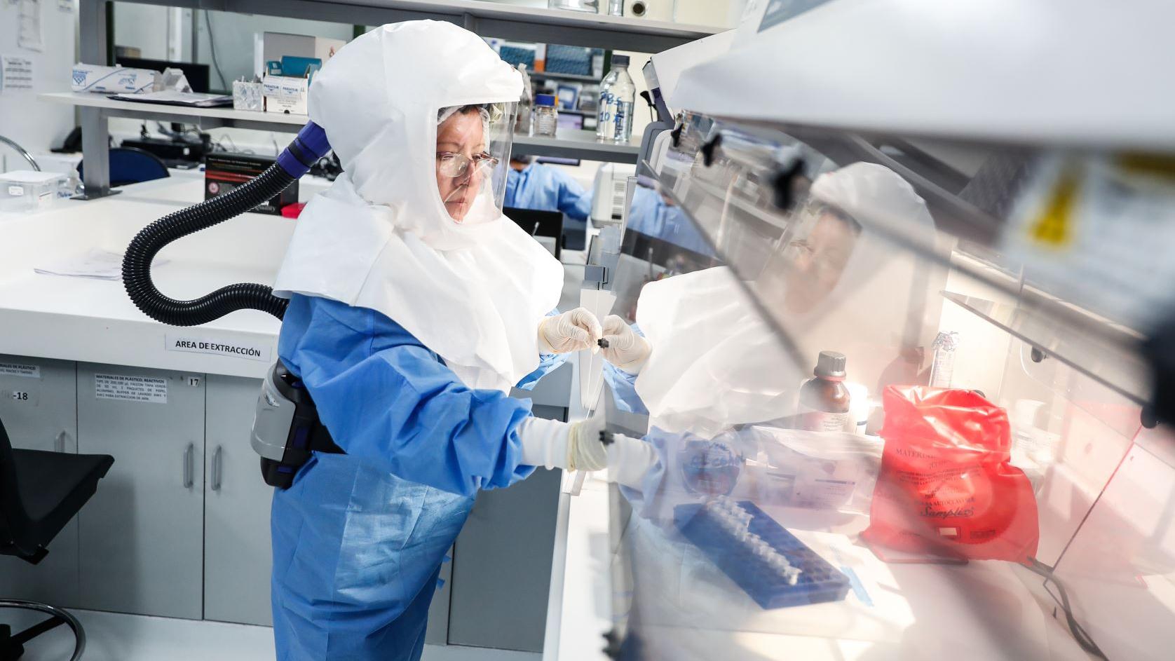 Pruebas moleculares (Foto: Archivo)