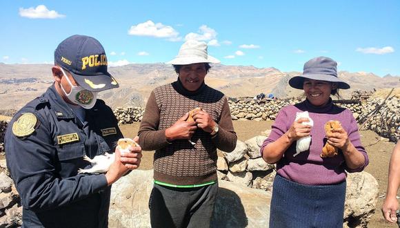 Huancavelica: ​Policías regalan cuyes a familia que perdió su granja en incendio