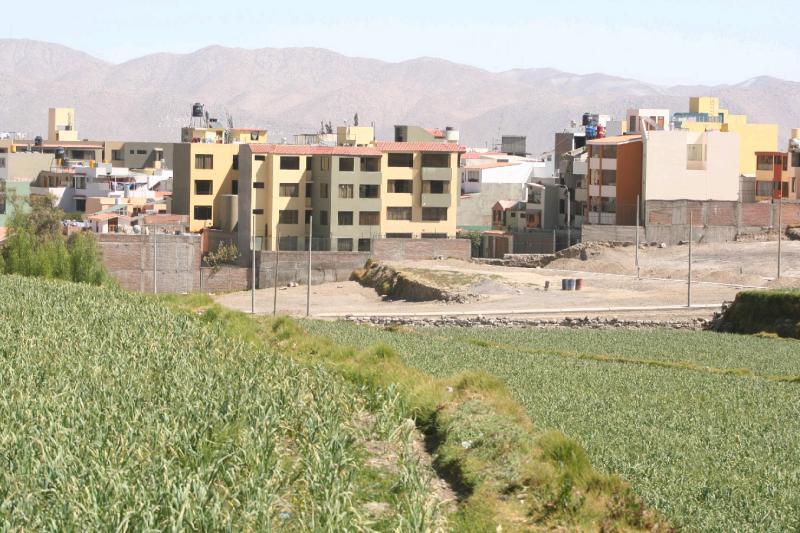 Colegio de arquitectos cuestiona PDM