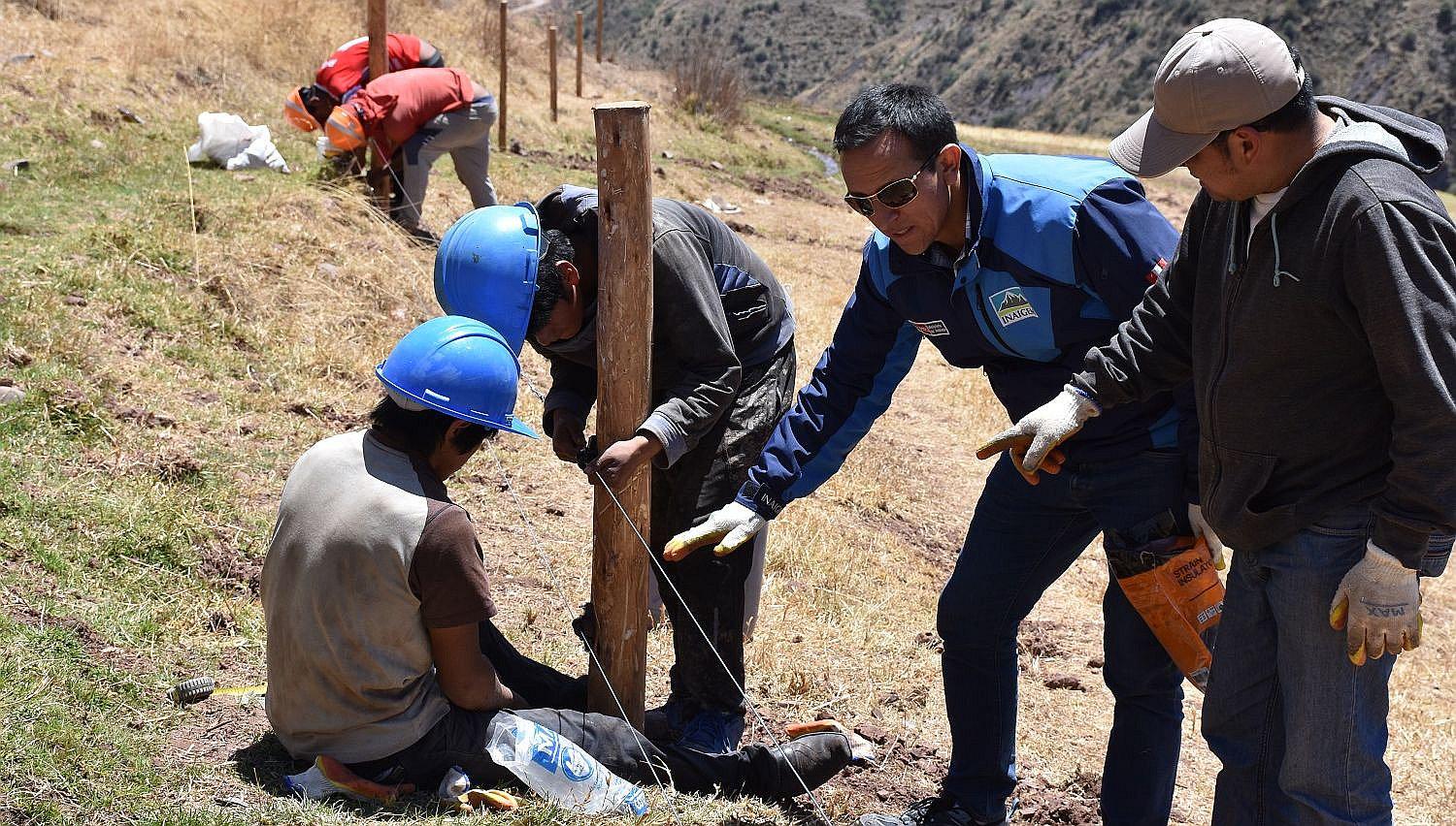 Cusco: Instalan parcelas de investigación sobre ecosistemas de montaña