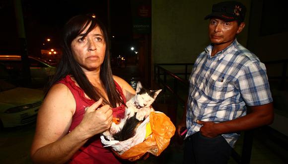 Maltrato Animal: Hombre dispara al gato de su hermana por romper su techo 