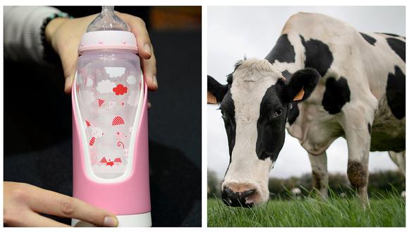 Nutricionista buscan suprimir el consumo de leche de vaca en menores de un año