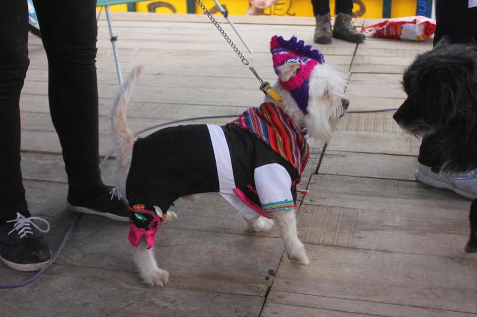 Una competencia  llena de 'amores perros' (FOTOS)