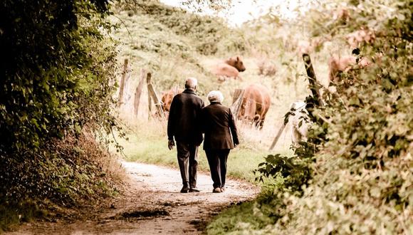 Foto referencial de pareja que camina en un parque. (Foto: Pixabay)
