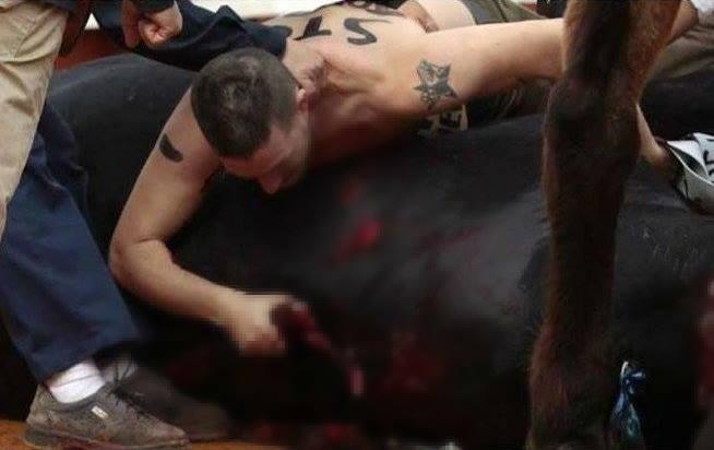 Activista salta a plaza de toros para abrazar y darle el último adiós a toro