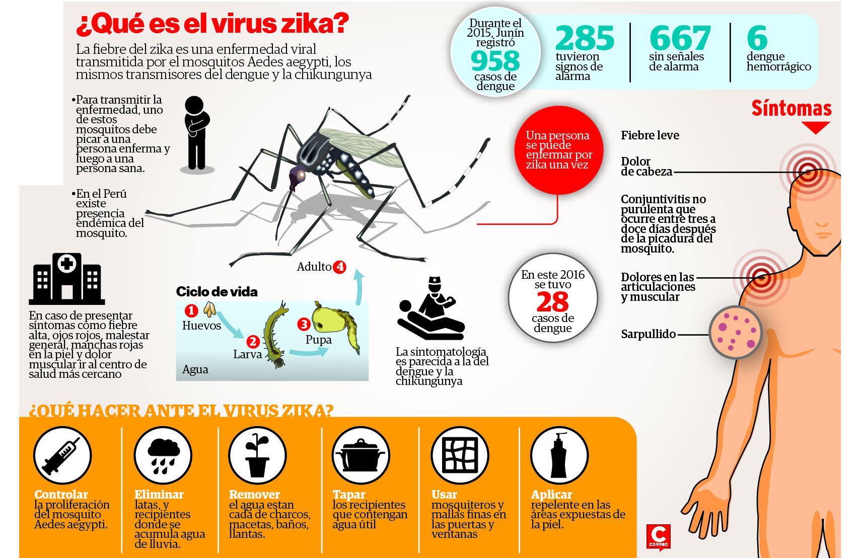 ​Temor por virus Zika y casos de dengue crece en la región Junín