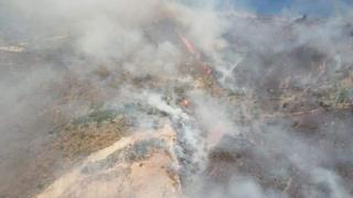 Incendio forestal cobra la vida de un comunero en Cosme